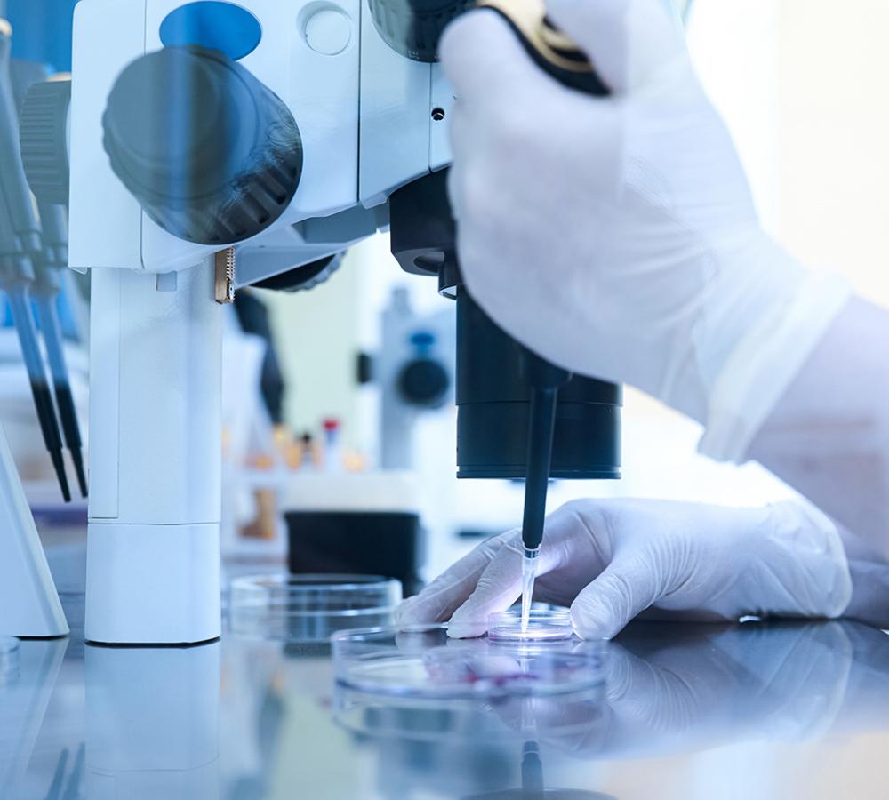 Our Fertility Services